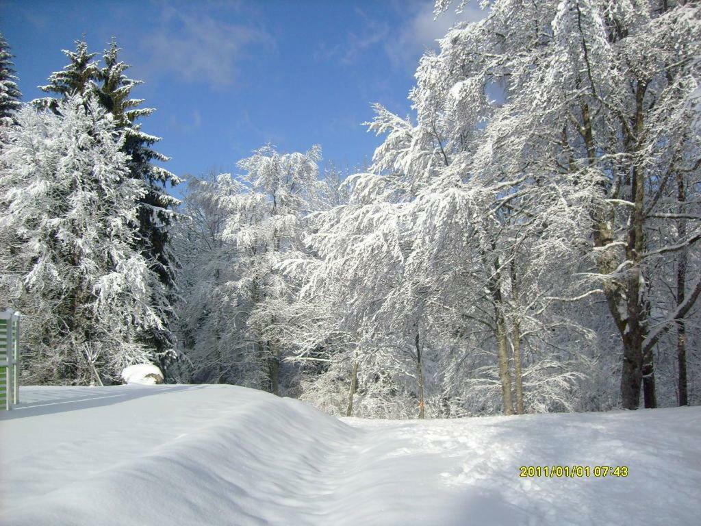 Residence Le Plate Les Carroz d'Araches Bagian luar foto